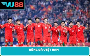 Bóng đá Việt Nam
