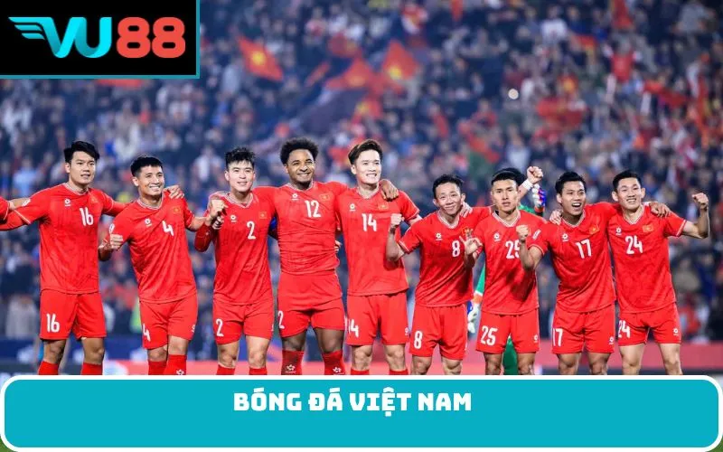 Bóng đá Việt Nam