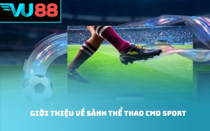 Giới thiệu về sảnh thể thao CMD Sport