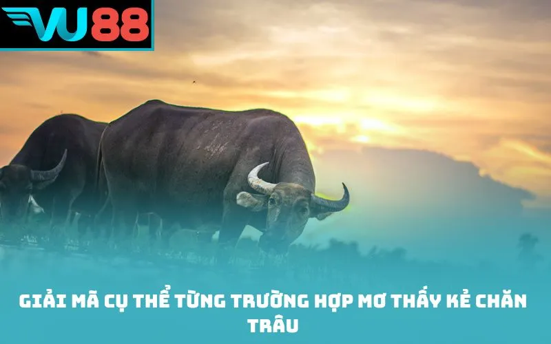 Giải mã cụ thể từng trường hợp mơ thấy kẻ chăn trâu
