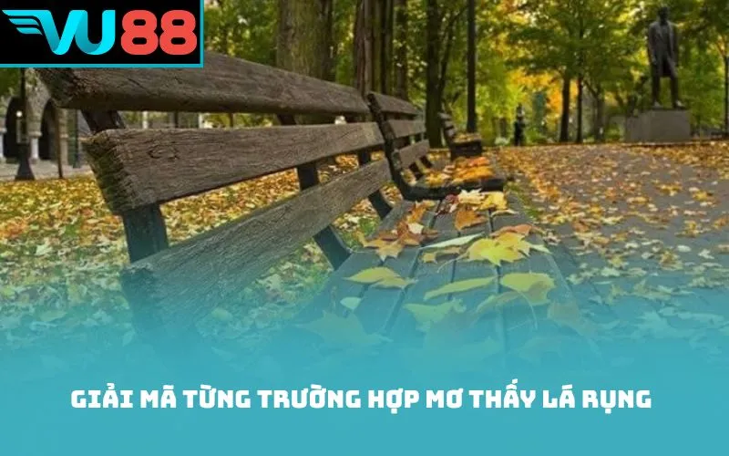 Giải mã từng trường hợp mơ thấy lá rụng