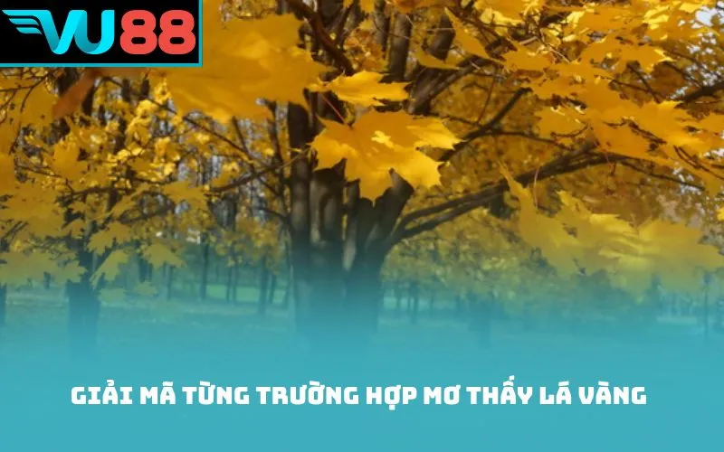 Giải mã từng trường hợp mơ thấy lá vàng