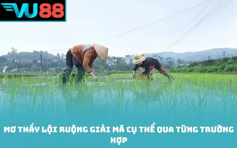 Mơ thấy lội ruộng giải mã cụ thể qua từng trường hợp