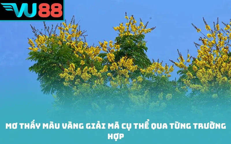 Mơ thấy màu vàng giải mã cụ thể qua từng trường hợp