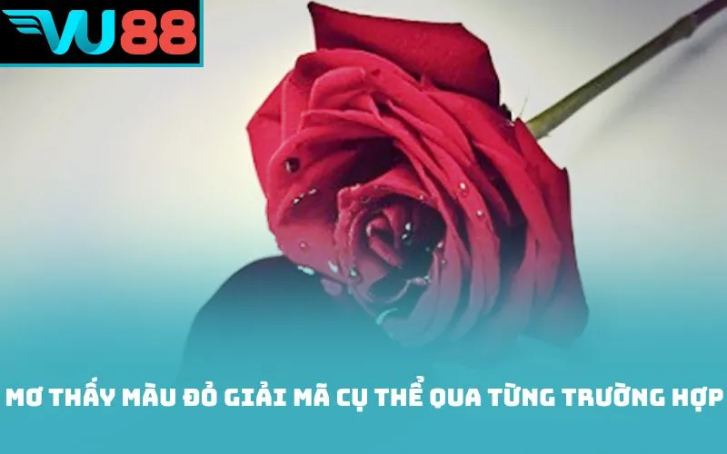 Mơ thấy màu đỏ giải mã cụ thể qua từng trường hợp