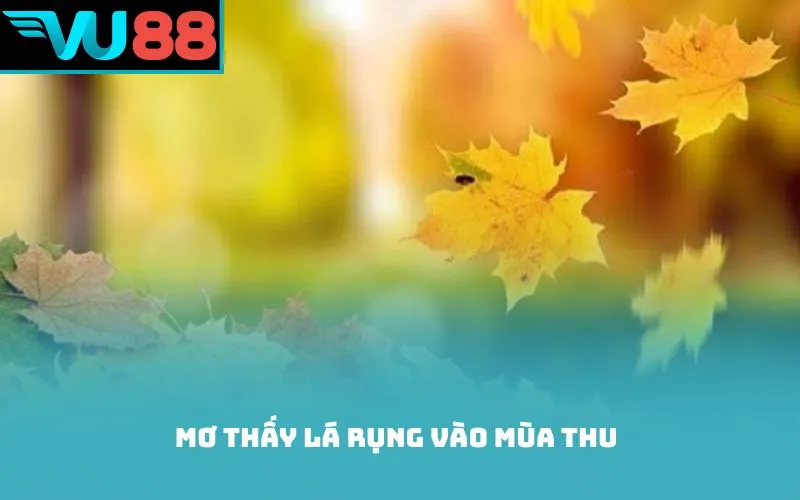 Mơ thấy lá rụng vào mùa thu
