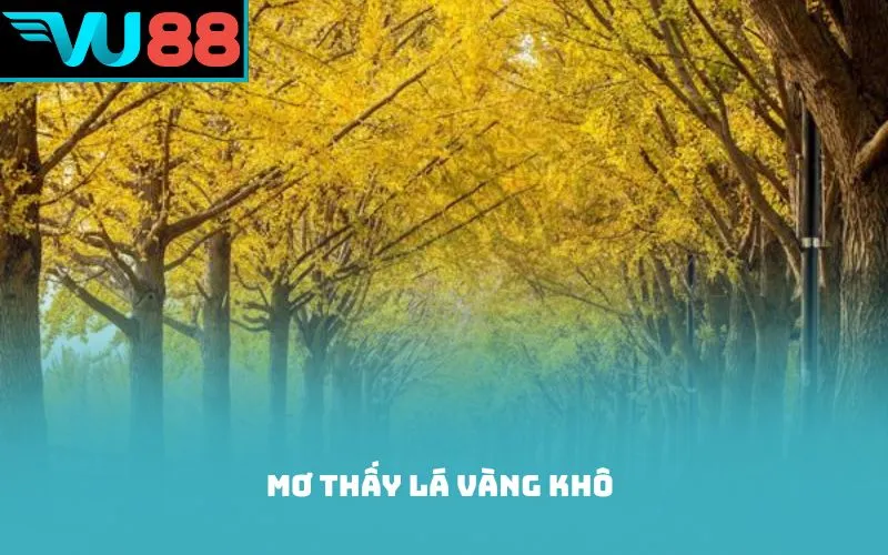 Mơ thấy lá vàng khô