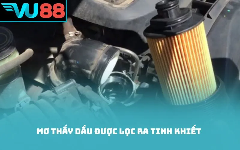 Mơ thấy dầu được lọc ra tinh khiết