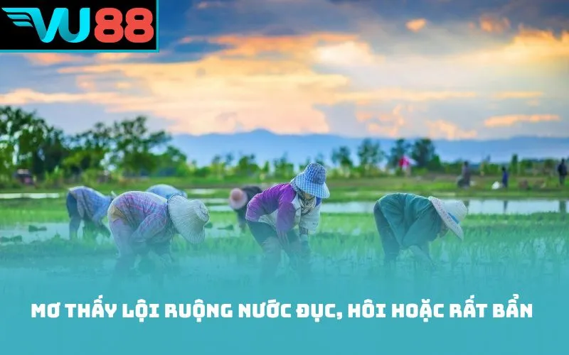 Mơ thấy lội ruộng nước đục, hôi hoặc rất bẩn