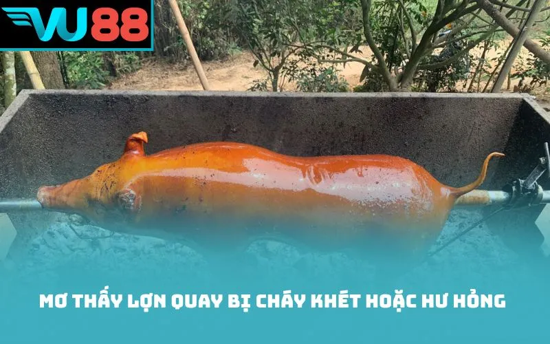 Mơ thấy lợn quay bị cháy khét hoặc hư hỏng