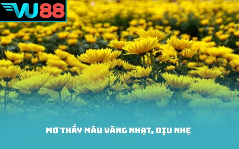 Mơ thấy màu vàng nhạt, dịu nhẹ