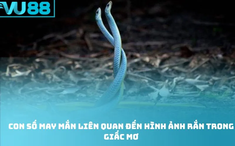 Con số may mắn liên quan đến hình ảnh rắn trong giấc mơ
