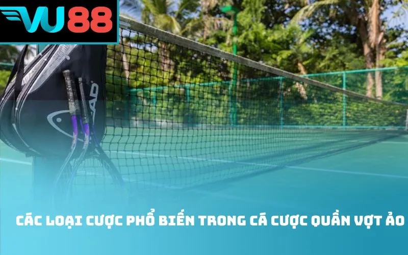 Các loại cược phổ biến trong cá cược quần vợt ảo