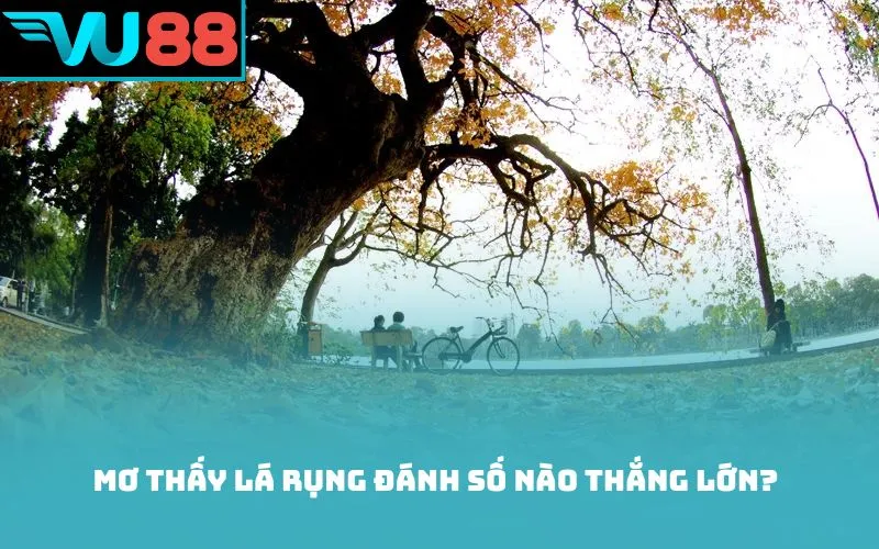 Mơ thấy lá rụng đánh số nào thắng lớn?