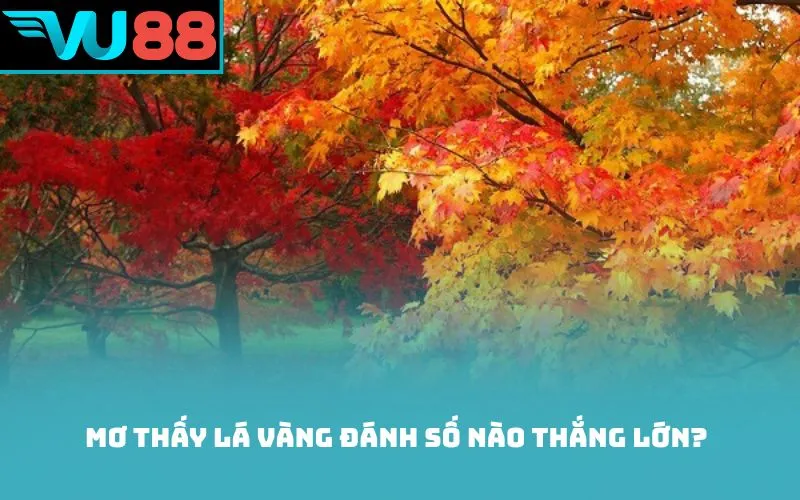 Mơ thấy lá vàng đánh số nào thắng lớn?