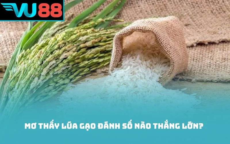 Mơ thấy lúa gạo đánh số nào thắng lớn?