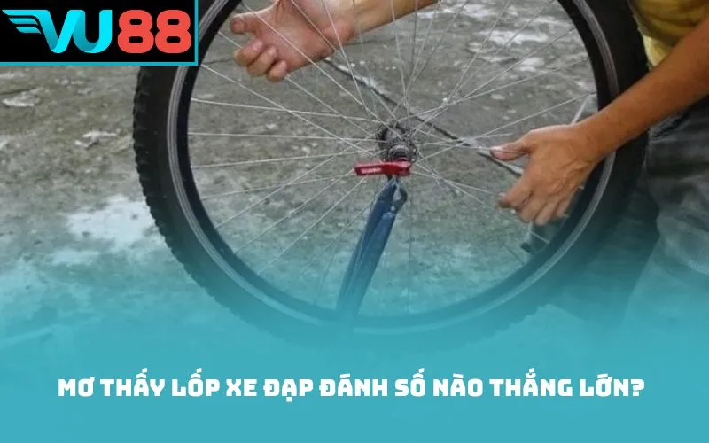 Mơ thấy lốp xe đạp đánh số nào thắng lớn?
