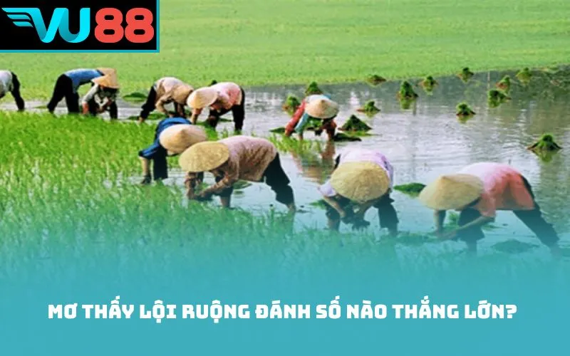 Mơ thấy lội ruộng đánh số nào thắng lớn?