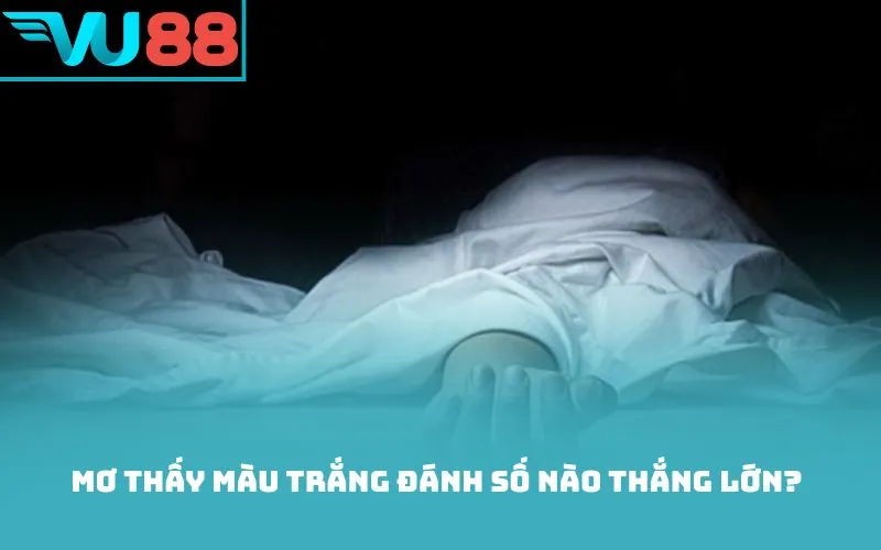 Mơ thấy màu trắng đánh số nào thắng lớn?