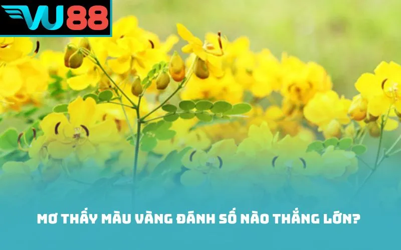 Mơ thấy màu vàng đánh số nào thắng lớn?