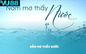 Nằm mơ thấy nước
