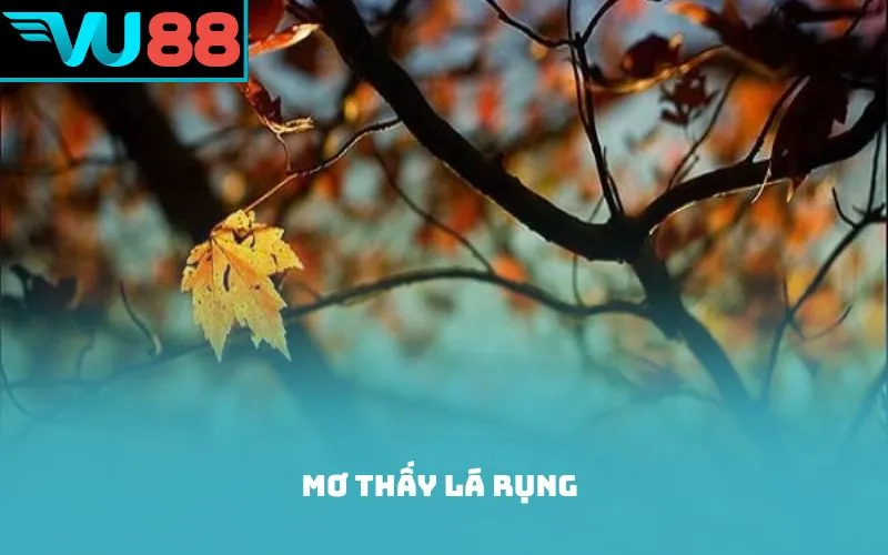 Mơ thấy lá rụng