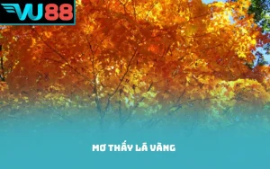 Mơ thấy lá vàng