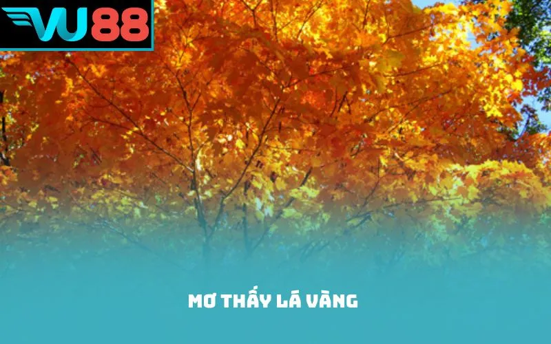 Mơ thấy lá vàng