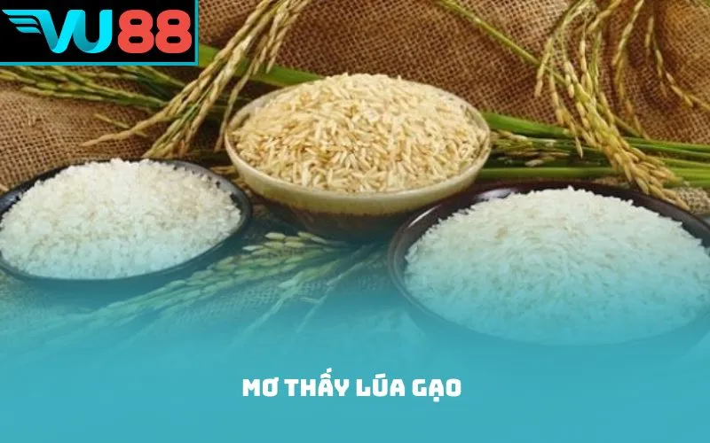 Mơ thấy lúa gạo