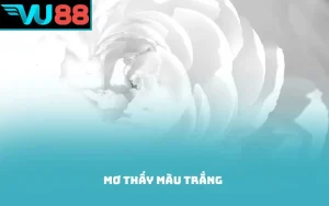 mơ thấy màu trắng