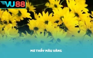 mơ thấy màu vàng