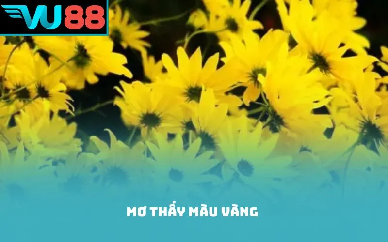 mơ thấy màu vàng