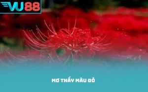 mơ thấy màu đỏ