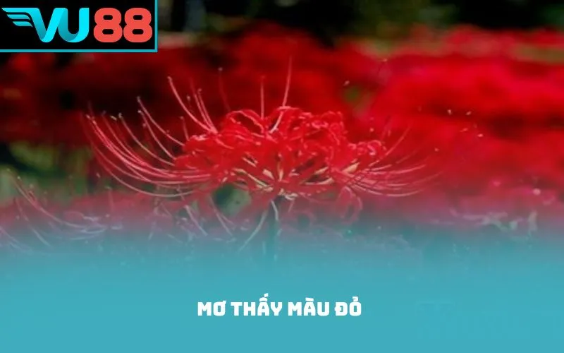 mơ thấy màu đỏ